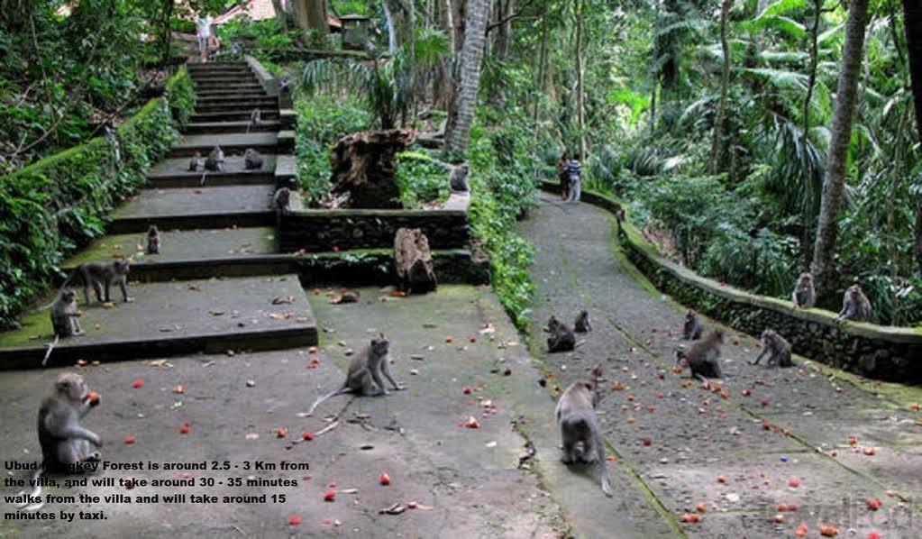 Private Villa Wayan Ubud Exterior foto
